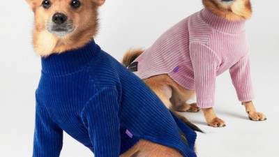 🐶 댕댕이 겨울 필수템! 강아지 니트 골지 목폴라 목티 후기 & 꿀팁 대방출! 🥰